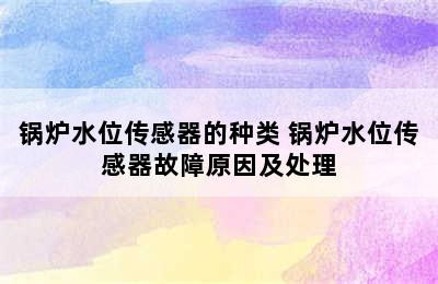 锅炉水位传感器的种类 锅炉水位传感器故障原因及处理